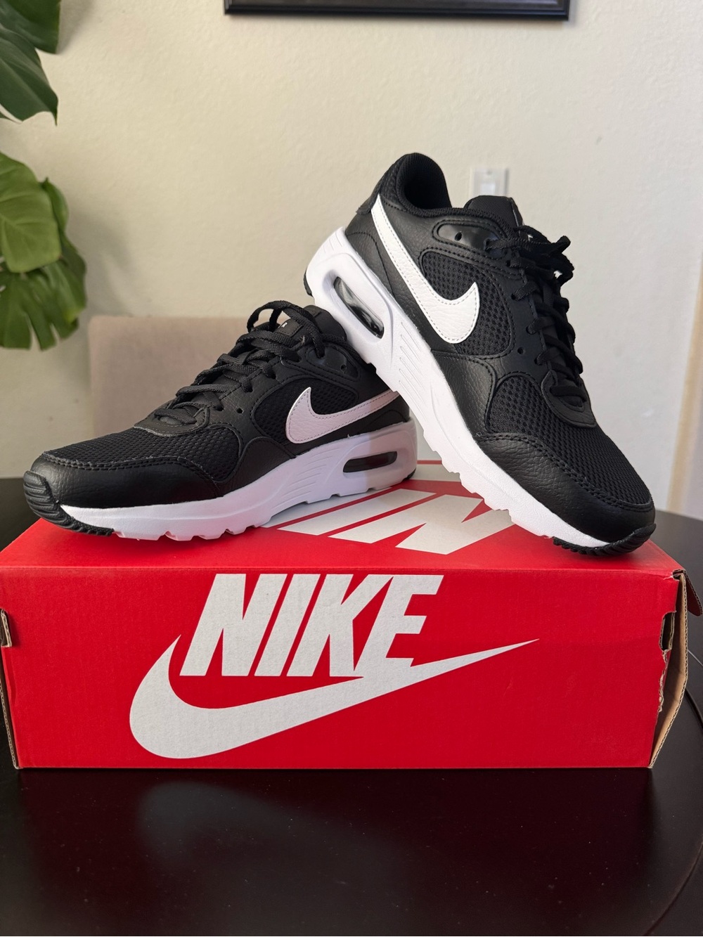Nike Women’s Black and White Air Max SC